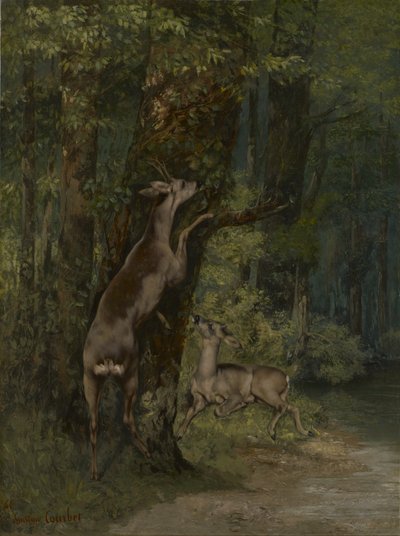 Fransk: Cerfs dans la forêt Hjorte i skoven af Gustave Courbet