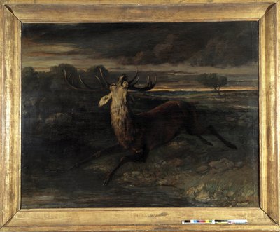 Hjorten har vand (jagt en løbetur) siger hjortens kraft (olie på lærred) af Gustave Courbet