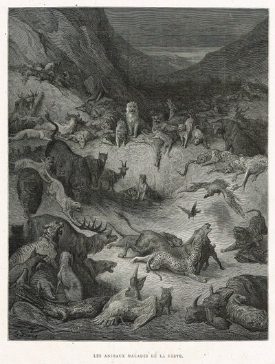 Dyr, der er syge af pest af Gustave Dore