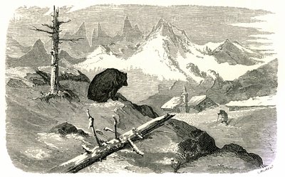 Kobberstik af Gustave Dore til bogen "Voyage aux Pyrenees d