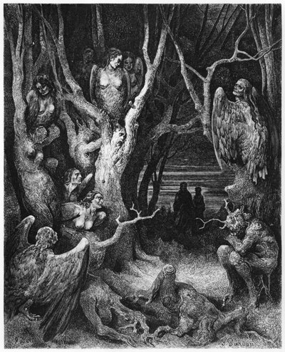 Harpies, illustration fra 