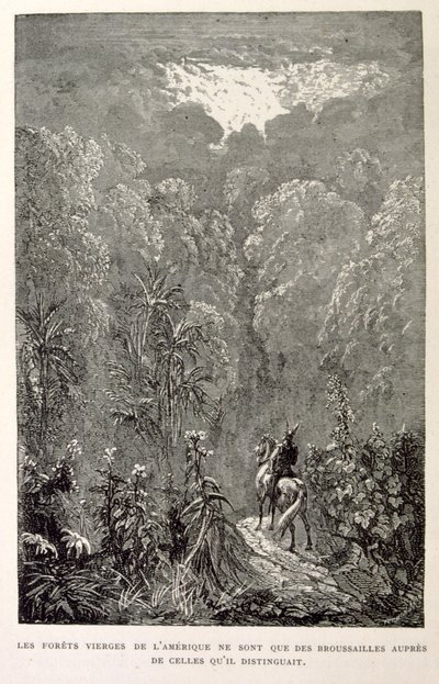Illustration af amerikansk skov. fra La legende de Croque-Mitaine. af Gustave Dore