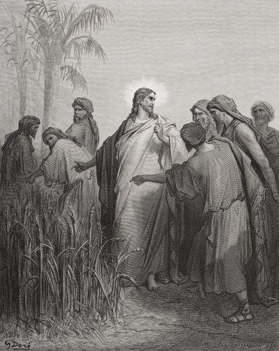 Jesus og hans disciple i kornmarken, illustration fra Dores 