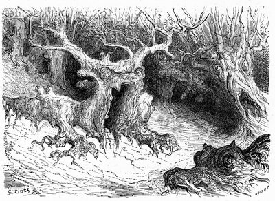 Monstrøs bøg i Ossau-dalen, antropomorfe monstertræer. Kobberstik af Gustave Dore, der illustrerer bogen "Voyage aux Pyrénées d