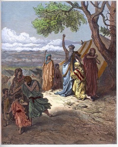 Noah driver skinke væk - Noah forbander Ham - Chams forbandelse - Patriark Noe forbander sit barnebarn Kanaan, for en fejl begået af hans far Cham på Ararat-bjerget - indgravering i "The Bible Illustree"" af Gustave Dore (1832-1883) - Indgravering fra "" T af Gustave Dore