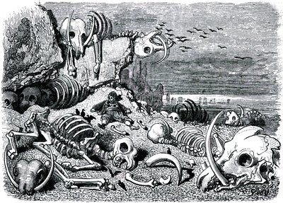Sømanden Sindbad (Sinbad) - fortællingen om de tusind og en (1001) nat - illustration af Gustave Dore - udgave Maxwell 1865 - Syvende og sidste rejse: elefanternes kirkegård, hvor Sindbad vil genfinde elfenbensdepoterne af Gustave Dore