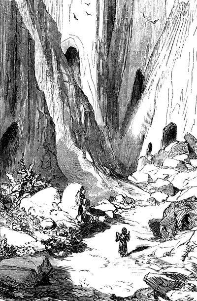 Sømanden Sindbad (Sinbad) - fortællingen om de tusind og en (1001) nat - illustration af Gustave Dore - udgave Maxwell 1865 - Anden rejse: Sindbat opdager en dal med diamanter, men som desværre er besat af kæmpeslanger. Han vil tage refu af Gustave Dore