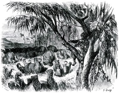 Sømanden Sindbad (Sinbad) - fortællingen om de tusind og en (1001) nat - illustration af Gustave Dore - udgave Maxwell 1865 - Syvende rejse: Sindbad sidder i et træ og trækker med sin bue i elefanter. af Gustave Dore