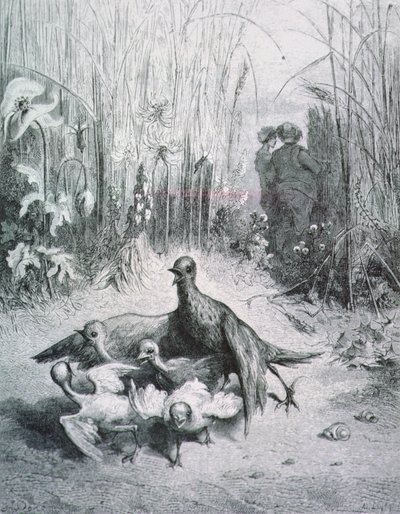 Lærkens fabel, hendes unge og markens mester, illustration til fabler af La Fontaine rnrn af Gustave Dore
