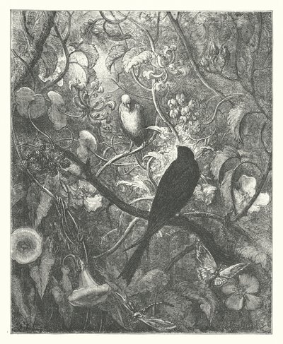 La Fontaines fabler: Philomel og Progne (kobberstik) af Gustave Dore