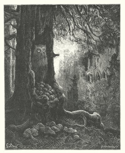 La Fontaines fabler: Uglen og musene (kobberstik) af Gustave Dore