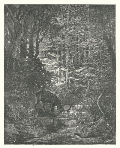 La Fontaines fabler: Hjorten, der ser sig selv i strømmen (stik) af Gustave Dore