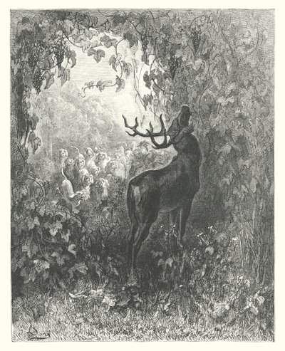 La Fontaines fabler: Hjorten og vinstokken (kobberstik) af Gustave Dore