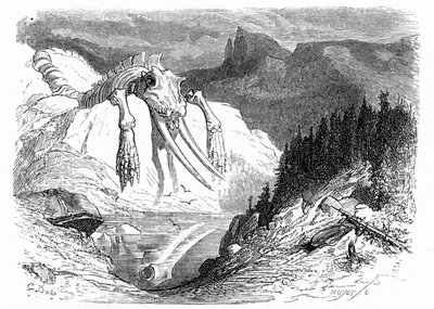 Gravering af Gustave Dore omkring 1850: fremkaldelse af en apokalyptisk syndflod, efter hvilken forskellige uhyrlige dyr er faldet ned på bjerget. Illustration af Hippolyte Taines bog "Journey to the Pyrenees", hvor tilstedeværelsen af fossile knogler af Gustave Dore