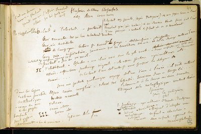 Folio 41 i arbejdsbogen n. 19 Manuskriptside af Gustave Flauberts udkast. Planer for Bouvard og Pecuchet. BHVP. af Gustave Flaubert