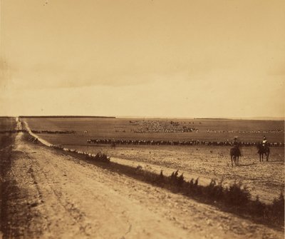 [Manøvrer, Camp de Chalons]. af Gustave Le Gray