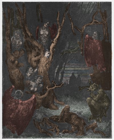 Inferno, Canto 13: Harpierne i selvmordsskoven, illustration fra Den guddommelige komedie af Dante Alighieri, 1885 (digitalt farvet gravering) af Gustave after Dore