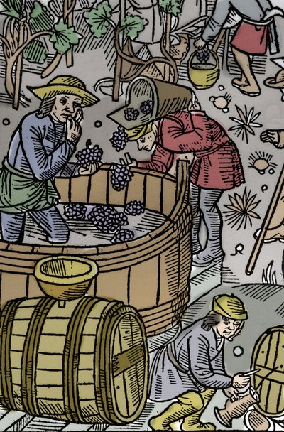 Høst - druehøst - Hyrdekalender - Månedens arbejde - Oktober - Træsnit fra bogen fra 1496 trykt af Guy Marchant (Guido Mercator) i Troyes - Træstik i "" Le grand Calendrier et compost des shepherds"" - Høsten - og th af Guy Marchant
