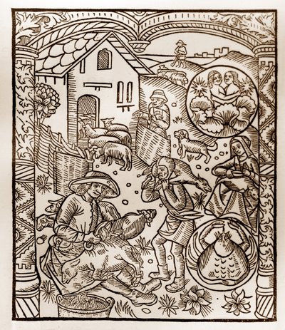 Hyrdekalender - Månedernes Arbejde - Juni - Træsnit fra bogen fra 1496 trykt af Guy Marchant (Guido Mercator) i Troyes - Træstik i "Le grand Calendrier et compost des shepherds"" - af Guy Marchant
