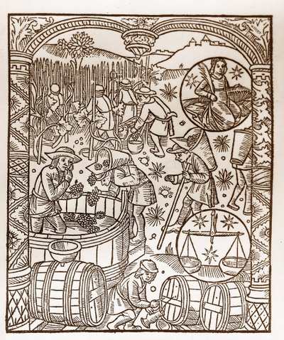 Hyrdekalender - Månedernes arbejde - Oktober - Træsnit fra bogen fra 1496 trykt af Guy Marchant (Guido Mercator) i Troyes - Træstik i "" Le grand Calendrier et compost des shepherds"" - Høsten - og tegnene på stjernetegn: den af Guy Marchant