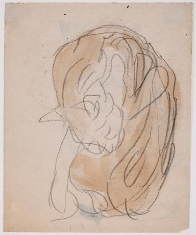Studier af katte (akvarel med blyant på papir) af Gwen John