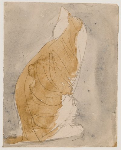 Studie af en kat (akvarel og blyant på papir) af Gwen John