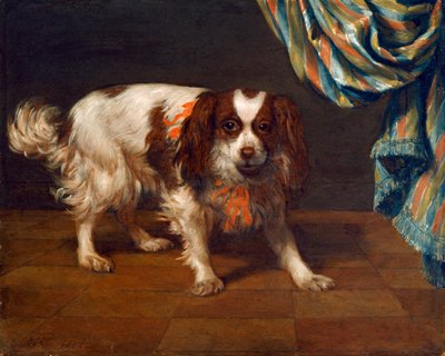 En King Charles Spaniel (olie på panel) af Gysbert van de Kuyl