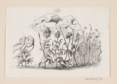 Illustration til "Den lille Idas Blomster" i H.C. Andersen, "Eventyr og Historier", Bind 1 af H.P. Hansen
