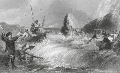 Hvalen på land (kobberstik) af H. Melville