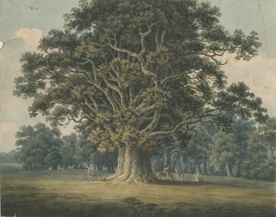 Needwood - Swipcar Oak: akvarelmaleri, og [?begyndelsen af det 19. århundrede] af H Moore