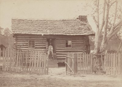 Albuminprint af en kvinde og to børn foran et bjælkehus i Georgia, 1880