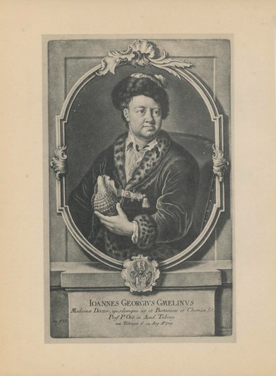 Portræt af naturforskeren, botanikeren og geografen Johann Georg Gmelin 1709-1755, midten af det 18. årh. af Haid