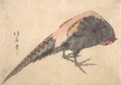 Fugl, 1830
