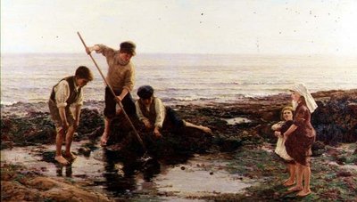 Rejer af Hamilton Macallum