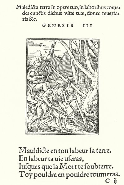Forbandelsen over jorden og mennesket (gravering) af Hans (after) Holbein the Younger