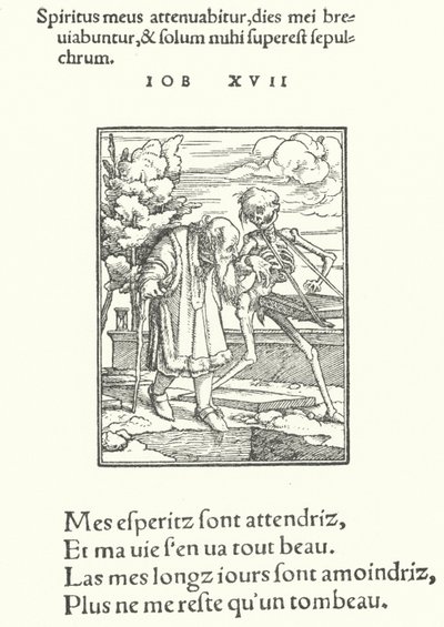 Den gamle mand (gravering) af Hans (after) Holbein the Younger