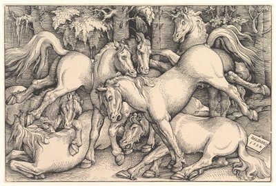Gruppe af syv heste, 1534. af Hans Baldung