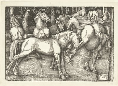 Gruppe på seks kampheste af Hans Baldung Grien
