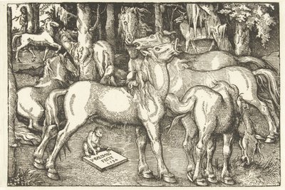 Gruppe på syv heste og en abe af Hans Baldung Grien