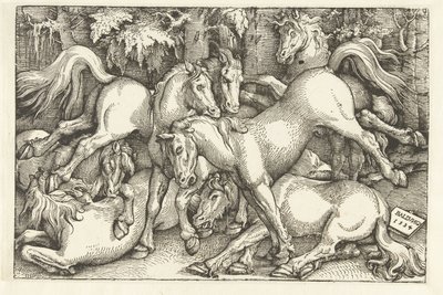 Gruppe på syv kampheste af Hans Baldung Grien