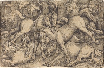 Gruppe på syv heste i skoven af Hans Baldung Grien