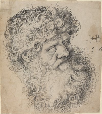 Hoved af Johannes Døberen af Hans Baldung Grien