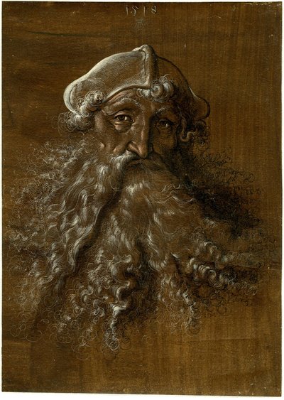 Hovedet af en gammel mand med kraftigt skæg af Hans Baldung Grien