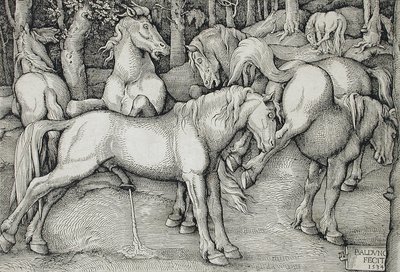  af Hans Baldung Grien