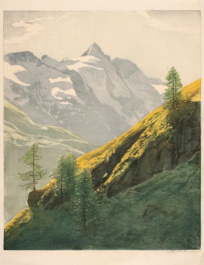 Bjerglandskab af Hans Frank