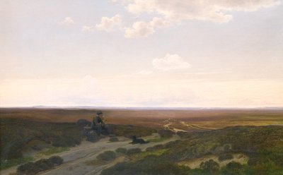 View of Pårup Moors near Silkeborg, Jutland af Hans Friis