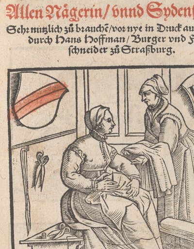 Ny modelbog til alle Nägerin og Sydenstickerns titelblad, 1r, 1556. af Hans Hoffman