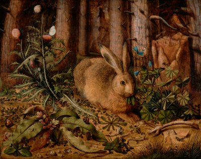 En hare i skoven, ca. 1585 (olie på panel) af Hans Hoffmann