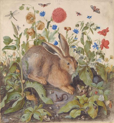 En hare blandt planter af Hans Hoffmann