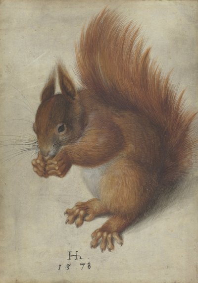 Rødt egern af Hans Hoffmann